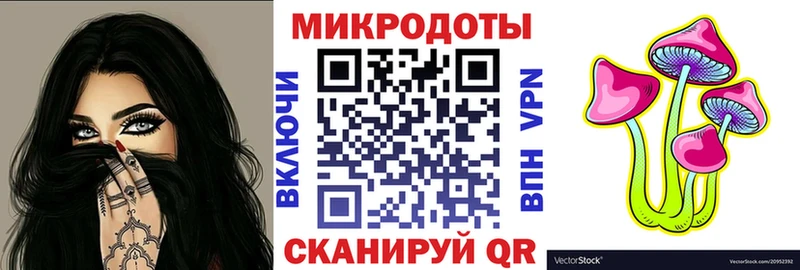 Псилоцибиновые грибы Psilocybe  Купить  Зея 