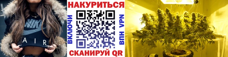 Каннабис конопля Зея